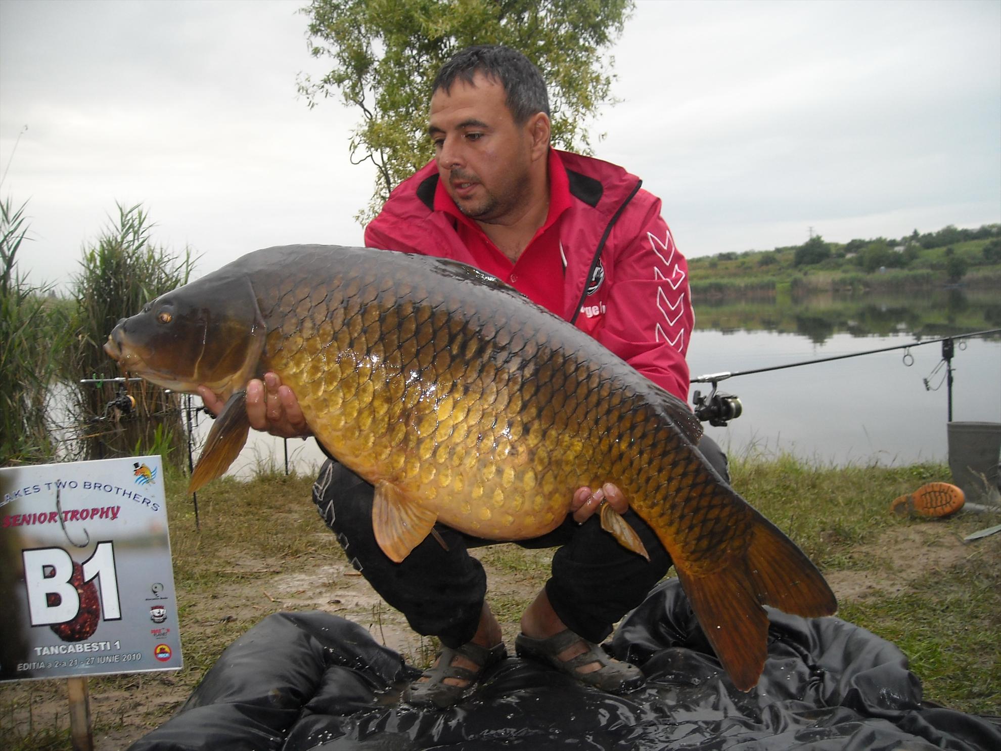 Senior Trophy (2) - 2010 - dscn6070.jpg